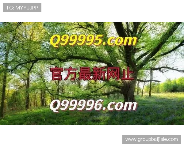 ag真人官方入口多平台同步登录,随时随地畅玩精彩真人游戏内容 ag真人官方入口多平台同步登录,随时随地畅玩精彩真人游戏内容