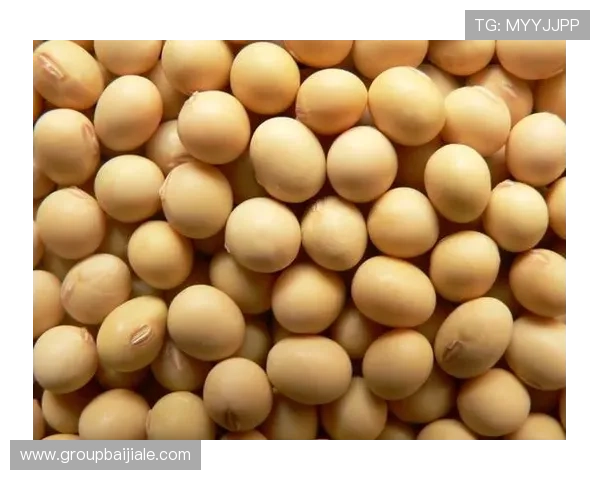 大发彩票平台全面介绍旗舰厅ag登录线路的安全保障措施与用户指南