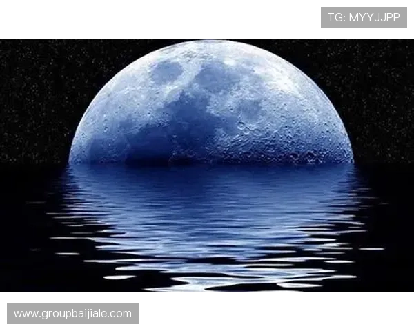 星空体育真人登录流程详解新手必看快速注册与登录技巧全攻略