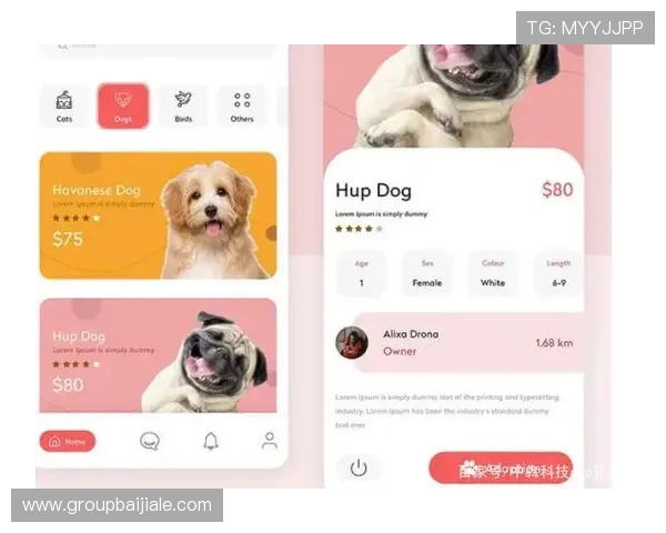 最新版本AG电子APP功能介绍及优化体验提升方法推荐 最新版本AG电子APP功能介绍及优化体验提升方法推荐