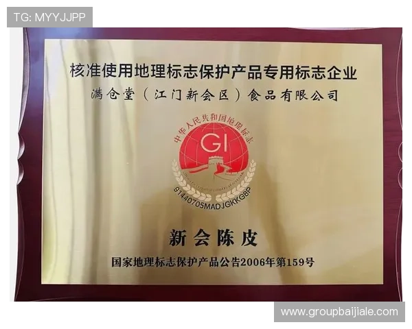 多宝视讯公司成立的地点及其在行业中的地理优势分析